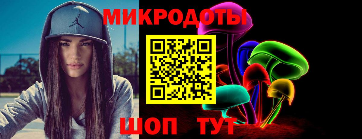 Псилоцибиновые грибы Psilocybe  Вход с VPN  Богданович 