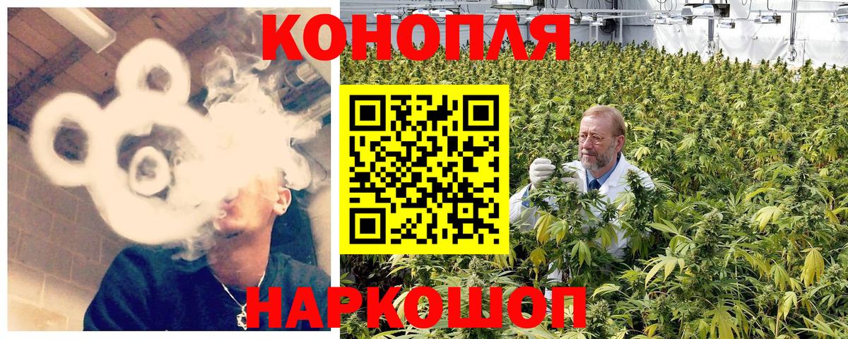 Бошки Шишки гибрид Богданович